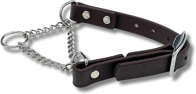 Martingale Collar for Dogs, Biothane, Stainless Steel Hardware, No Pull, Made in The USA, Professional Grade, Large, Brown
