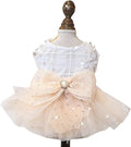 Fashion Sweet Puppy Dog Blingbling Princess Skirt Pet Dog Lace Cake Camisole Tutu Dress E-Champagne S