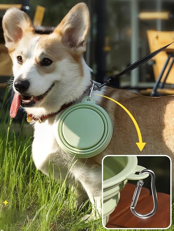 2-Pack, LeeRound Collapsible Dog Bowls, 22OZ Large Breed Travel Bowls with Carabiner Clip, Portable Silicone Food & Water Bowls for Beach, Hiking, Camping, Car, Pet Outdoor&Home Daily Use