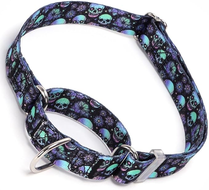 Martingale Collars for Dogs, Skull Print No-Slip Escape Proof Choke No Pull Soft Nylon Training Dog Collars for Small Medium Large Breed Pet Dogs, S