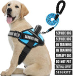 Service Dog Vest Harness and Leash Set, Animire in Training Dog Harness with 10 Dog Patches, Reflective Dog Leash with Soft Padded Handle for Dogs (Light Blue,L)