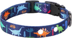 Rhea Rose 1 Inch Replacement Collar Strap Shock Collar with 2 Holes, Compatible with Nearly All Brands and Models of Underground Electric Dog Fences and Training Collars, Blue Dinosaurs