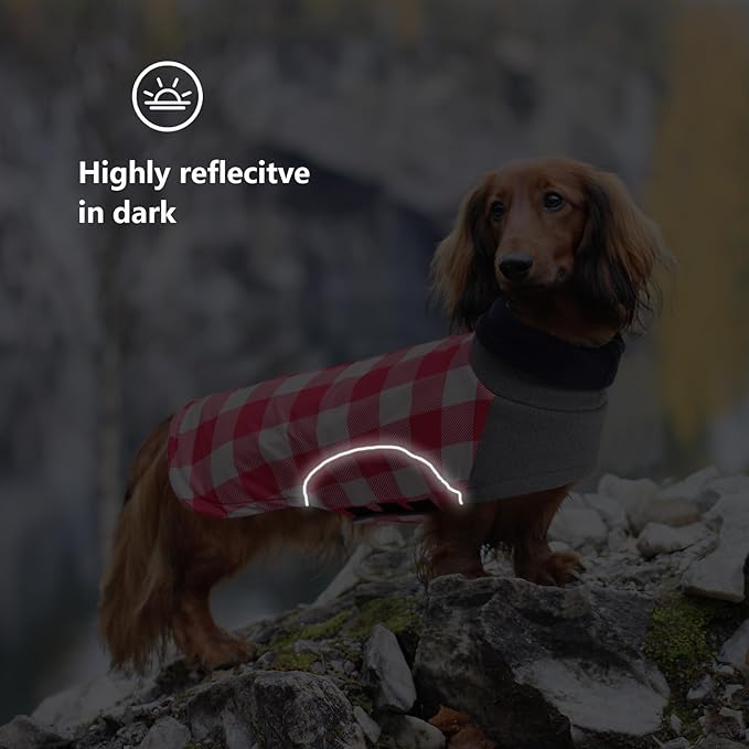 Dog Winter Coat,Dachshund Clothes,Waterproof Miniature Dachshund Jacket,Small Dogs Coat with Harness Hole,Doggie Jumper with Turtle Neck,Pet Dog Clothes British Style-Pink Plaid-M
