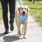 BARKBAY No Pull Dog Harness Large Reflective Dog Harness with Front Clip and Easy Control Handle for Walking Training Running with ID tag Pocket(Baby Blue & Baby Pink,M)