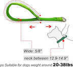 Reflective Slip Dog Collar, Loop Dog Collar for 20-38 lbs Dogs, Nylon Collars with Soft Padded for Dogs Training (Green 5/8" W x 15.5" L)