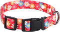Rhea Rose 3/4 Inch Replacement Collar Strap Shock Collar with 2 Holes, Compatible with Nearly All Brands and Models of Underground Electric Dog Fences and Training Collars, Red Daisy