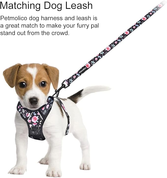 Petmolico XS Dog Harness and Leash Set, No Choke 4 Leash Attachments Easy Control Handle Soft Padded Reflective Vest for Small Dogs, Rose