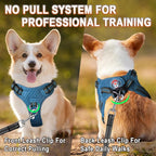BARKBAY Dog Harness, Reflective Adjustable Puppy No Pull Harness, Breathable Soft, X-Small, Blue/Black
