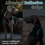 rabbitgoo Escape Proof Dog Harness, Soft Padded Full Body Pet Harness, Reflective Adjustable No Pull Vest with Lift Handle and Leash Clip for Large Dogs Walking Hiking Training, Dark Green, L