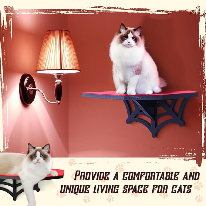 Gothic Wall Mounted Halloween Shelf Coffin Spider Web Style Cat Tree Wall Load Bearing up to 30 Lbs/ 14 kg Black Cat for Indoor