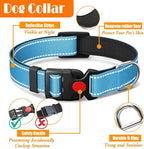No Pull Dog Harness, Collar & Leash Set | Includes Dog Seat Belt, Collapsible Bowls & Poop Bag Dispenser. Ideal for Training, Walking, Hiking. Fits Small to Large Dogs(Blue-XL)