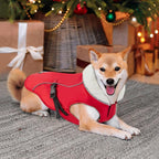 EMUST Dog Cold Weather Coats, Fleece Lining Small/Medium/Large Dog Jacket for Winter, Warm Waterproof Pet Winter Clothes for Large Dogs, Red, XL