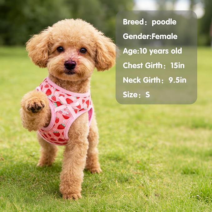 PUPTECK Dog Harness for Puppy and Small Sized Dogs, Step-in No Pull Soft Mesh Vest Harness for Cats Small Pets Walking, Pink Strawberry, New XXS
