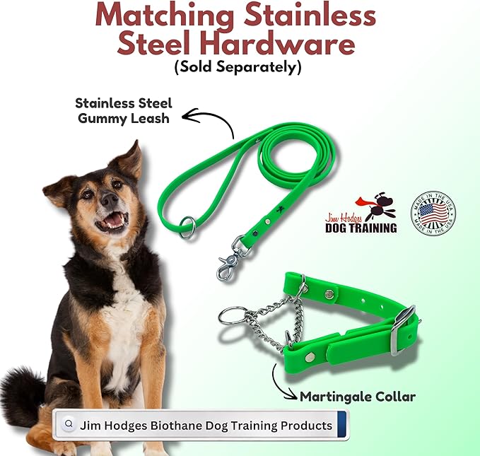 Martingale Collar for Dogs, Biothane, Stainless Steel Hardware, No Pull, Made in The USA, Professional Grade, XS, Green
