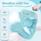 rabbitgoo Dog Harness Small Sized and Leash Set, Step in Soft Light Puppy Vest, Breathable Mesh Pet Harness, Reflective for Safe Easy Walking, Mint Blue XS