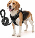 No Pull Dog Harness and Leash Set for Medium Dogs – Adjustable Reflective Breathable Soft Padded Easy Control Dog Harness for Training & Walking, Black (Medium)