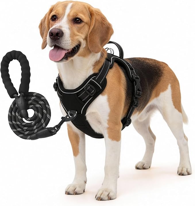 No Pull Dog Harness and Leash Set for Medium Dogs – Adjustable Reflective Breathable Soft Padded Easy Control Dog Harness for Training & Walking, Black (Medium)
