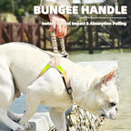 PUPTECK No Pull Dog Harness Medium Sized Dog, Adjustable Reflective Pet Vest Harness with Bungee Handle, Escape Proof No Choke Harness for Medium Dogs Walking Training, Beige M
