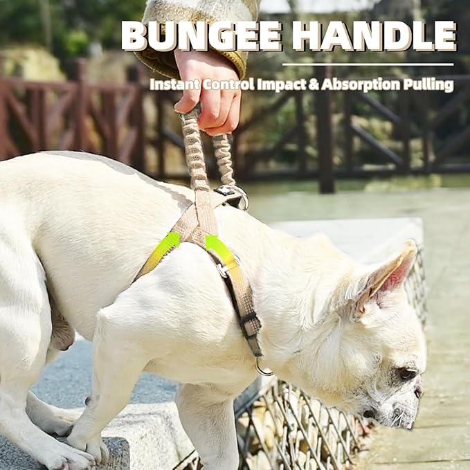 PUPTECK No Pull Dog Harness Medium Sized Dog, Adjustable Reflective Pet Vest Harness with Bungee Handle, Escape Proof No Choke Harness for Medium Dogs Walking Training, Beige L