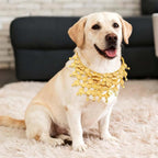Dog Belly Dancer Costume with Necklace and Waist Chain - Sequin Party Outfit for Medium to Large Dogs, Labrador, Golden Retriever, German Shepherd, Husky