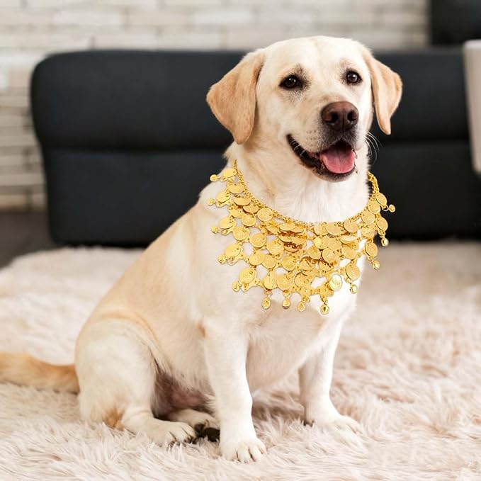 Dog Belly Dancer Costume with Necklace and Waist Chain - Sequin Party Outfit for Medium to Large Dogs, Labrador, Golden Retriever, German Shepherd, Husky
