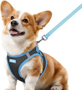 rabbitgoo Dog Harness Small Sized and Leash Set, Step-in Breathable Pet Harness, Soft Walking Reflective Puppy Vest for Small Dogs, Black & Light Blue, L