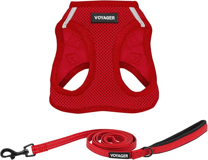 Best Pet Supplies Voyager Step-in Air All Weather Mesh Harness and Reflective Dog 5 ft Leash Combo with Neoprene Handle, for Small, Medium and Large Breed Puppies - Set (Red), XXXS
