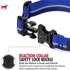 Tuff Pupper Martingale Collar for Dogs | Gentle Nylon & Steel Chain Limited Cinch Design is Perfect for Training | Dual Leash Attachment Points | Durable Quick Release Buckle | Sizing for All Breeds