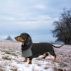 Geyecete Dachshund Coat,Dachshund Winter Coat,Warm Waterproof Windproof, High Neckine String Holes Miniature Dachshund Jacket for Small Dog-Black-L