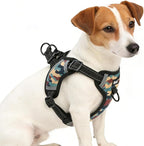 PUPTECK No Pull Dog Harness Small Sized Dog, Adjustable Reflective Escape Proof Easy Control, Comfortable Soft Padded Step in Pet Vest Harness, Camouflage, S
