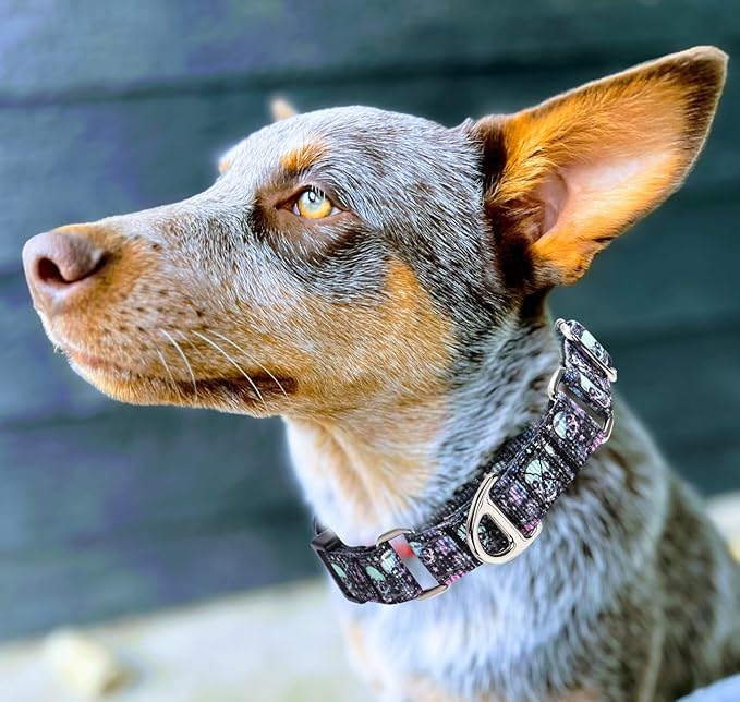 Martingale Collar for Dogs - Reflective Nylon with Padded Comfort & Quick Release Buckle - Skull Design, No Slip Choke Heavy Duty Collar for Safe Training, Walking & Nighttime Use L