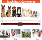 Dog Training Collar Electric Dog Collar with 4 Training Modes and Rechargeable Remote Waterproof Range 3300Ft for Small Medium Large Dogs(Red)