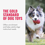 KONG Classic Stuffable Dog Toy - Fetch & Chew Toy for Dogs - Treat-Filling Capabilities & Erratic Bounce for Extended Play Time - Durable Natural Rubber Material - for Extra Large Dogs (Pack of 2)