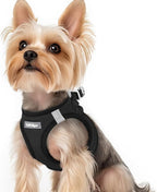 rabbitgoo Small Dog Harness, Step-in Soft Mesh Puppy Vest with Safety Buckle, Breathable Reflective Pet Harness for Small Sized Dogs, Black XS