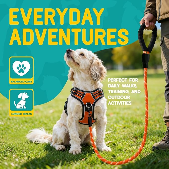 No Pull Dog Harness and Leash Set for Small Dogs – Adjustable Reflective Breathable Soft Padded Easy Control Dog Harness for Training & Walking, Orange (Small)