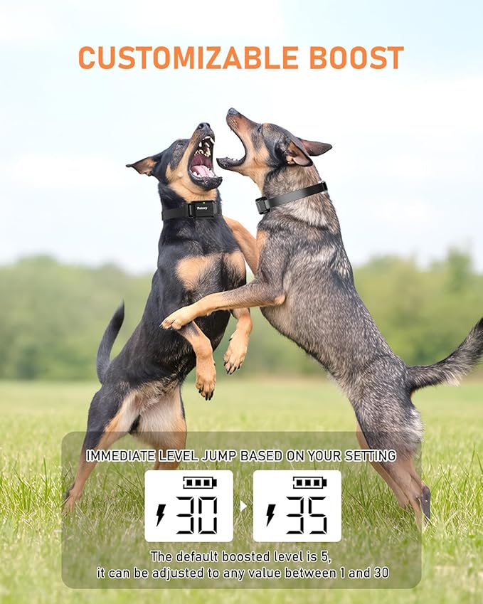 Petory Dog Training Collar - 4000FT Dog Training Collar with Remote, IPX7 Waterproof Electric Dog Collar with 4 Training Modes, Security Lock, Rechargeable e Collar for 15-120lbs Medium Large Dogs
