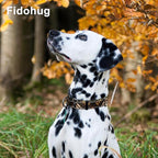 Fall Reflective Martingale Collar for Dogs with Quick Release Buckle Autumn Dog Collars (Brown Plaid, Medium)