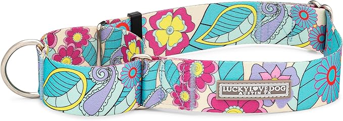 Lucky Love Dog Wide Martingale Dog Collar - No-Slip, Durable, & Soft Webbing 1.5 inch Martingale Collar for Dogs Male and Female Ideal for Training & Walking - Caroline, Large