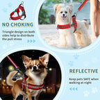 SlowTon No Pull Small Dog Harness and Leash Set, Puppy Soft Vest Harness Neck & Chest Adjustable, Reflective Lightweight Harness & Anti-Twist Pet Lead Combo for Small Medium Dogs (R-Front Clip,XXS)