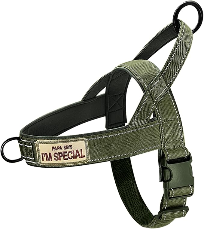 Green No Pull Dog Harness for Small Medium Large Sized Dog, Reflective Escape Proof Adjustable Dog Harnesses with 2 Patch, M