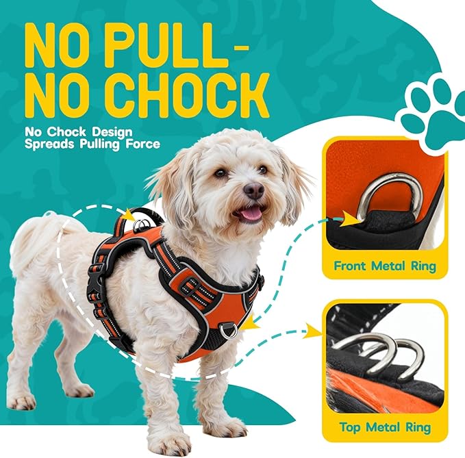 No Pull Dog Harness and Leash Set for Small Dogs – Adjustable Reflective Breathable Soft Padded Easy Control Dog Harness for Training & Walking, Orange (Small)