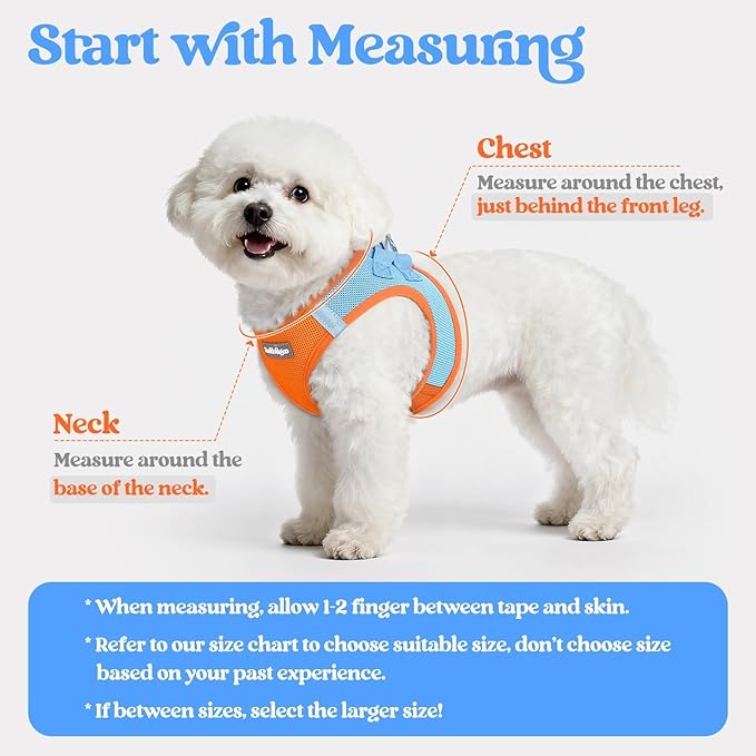 rabbitgoo Dog Harness Small Sized and Leash Set, Step in Soft Light Puppy Vest, Breathable Mesh Pet Harness, Reflective for Safe Easy Walking, Blue & Orange XXS