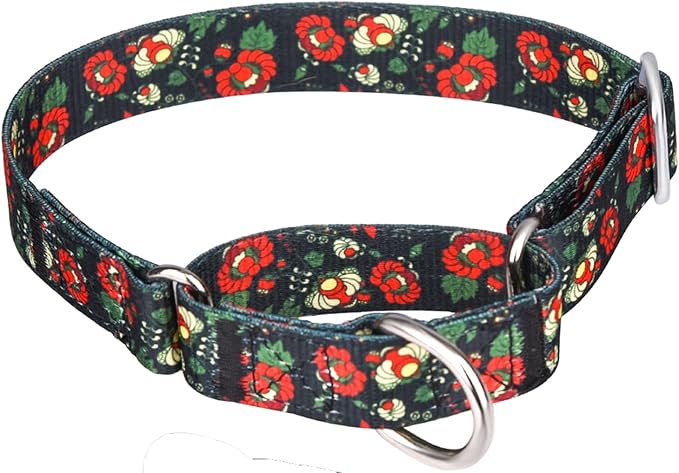 Martingale Dog Collars - Flower Multicolor Cute Patterns, Adjustable Nylon Training Dog Collar Suitable for Boy and Girl Dogs Medium Large Dogs (L, Blue)
