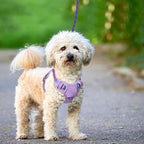 BARKBAY No Pull Dog Harness Large Reflective Dog Harness with Front Clip and Easy Control Handle for Walking Training Running with ID tag Pocket(Lavender Sky,S)