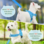 Lukovee No Pull Dog Harness and Leash Set, Soft Padded Small Dog Harness, Neck & Chest Adjustable Reflective Vest Puppy Harness with 4ft Lightweight Anti-Twist Dog Leash for Small Dogs (LBL, S)