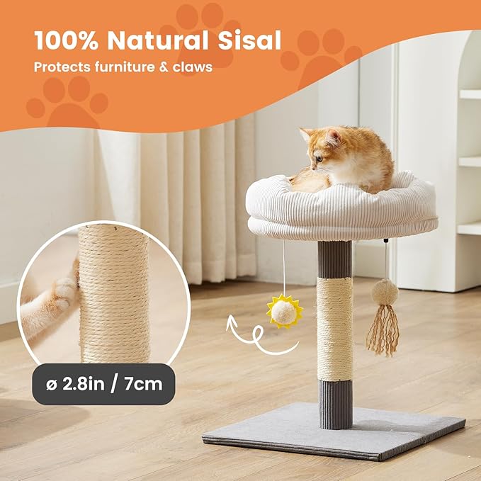 Gardner Pet 20" Cat Tree, Solid Wood Small Cat Tree with Cat Scratching-Posts & Hanging Toys for Kittens(Grey, Circle-Corduroy)