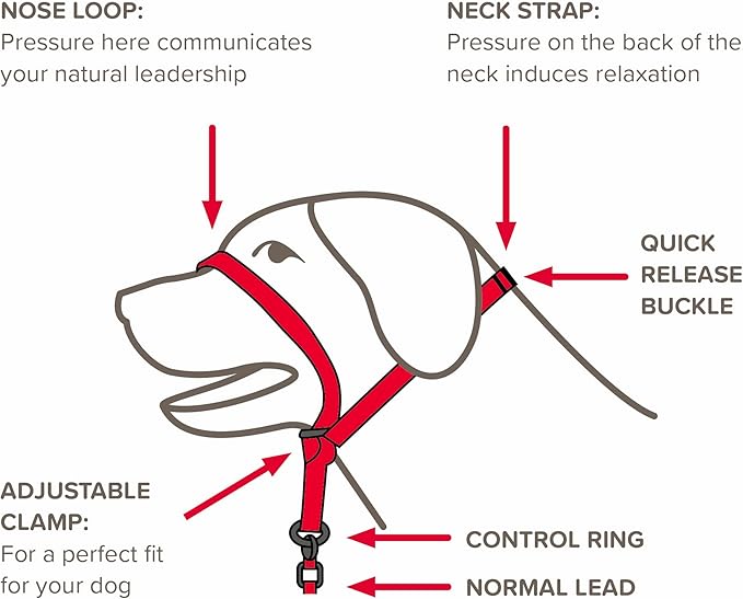 Beaphar | Gentle Leader | Head Collar for Small Dogs | Stops Pulling On The Lead | Training Aid with Immediate Effect| Endorsed by Behaviourists | Red x 1