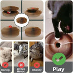 Kitty Curvels Style Transformable Cat Scratcher for Indoor Cats – Interactive Reversible Cat Scratching Pad, Durable Corrugated Cardboard for Furniture Protection（1PC）