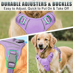 BARKBAY No Pull Dog Harness Large Reflective Dog Harness with Front Clip and Easy Control Handle for Walking Training Running with ID tag Pocket(Violet Purple,L)