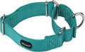 Mikivery Martingale Dog Collar Nylon Adjustable and Safety Training Colourful Comfortable Metal Buckle Pet Collars for Small Medium and Large Dogs(Teal,M)